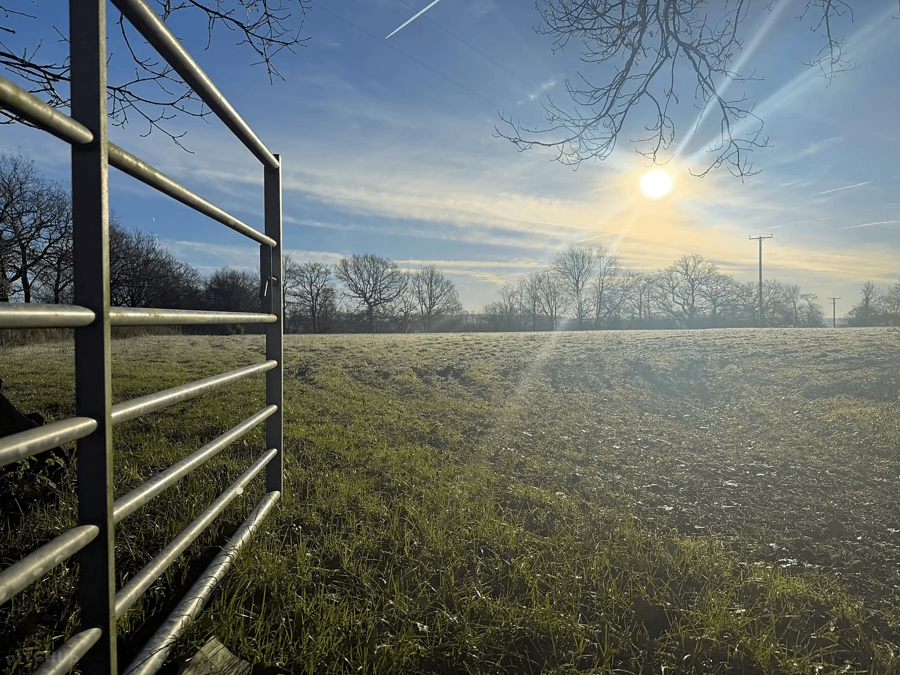 Sunrise through the gate at RedPines Ranch