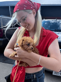 Rosie, qualified groomer, holding a small dog in a calm barn studio at RPR Grooming